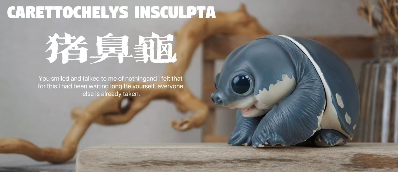 【海外代購】博物志 2024噸動噸物園龜2 第2彈 鷹龜嘴和豬鼻龜 