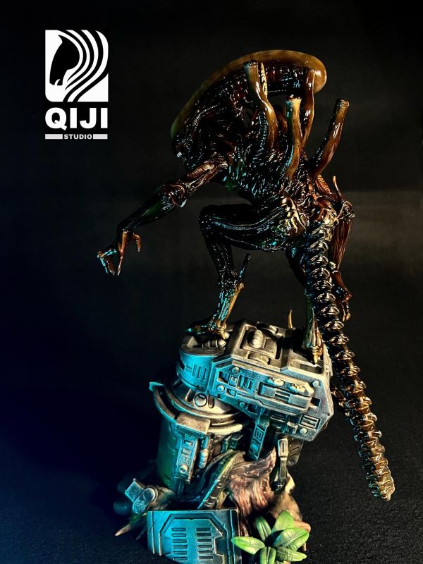 【預定】QiJi 異形 