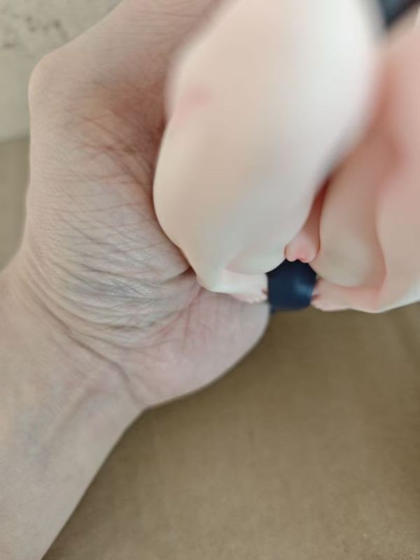 【R18-海外代購】CY 碧藍檔案 BC 龍華妃咲 