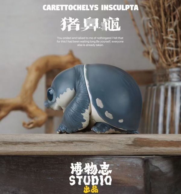 【海外代購】博物志 2024噸動噸物園龜2 第2彈 鷹龜嘴和豬鼻龜 