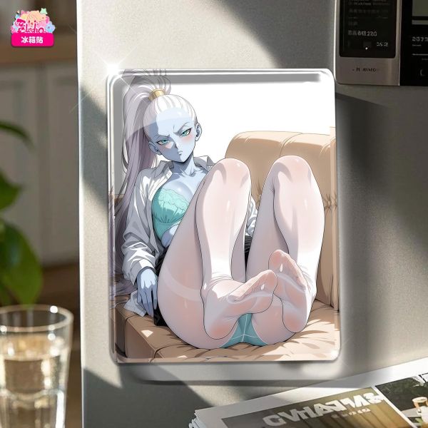 【海外代購】阿喵畫社 動畫冰箱貼第一百零四彈龍珠白絲系列 