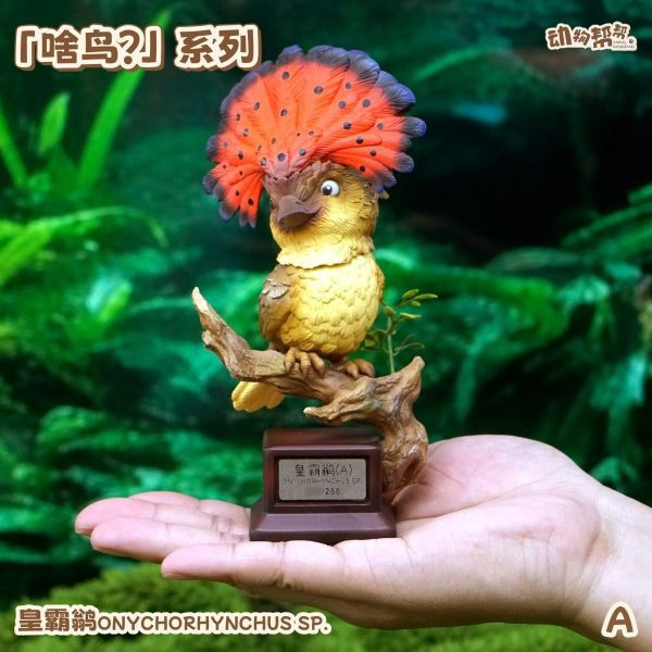 【海外代購】傑刻動漫 動物幫幫農場 啥鳥系列第六彈 皇霸鶲 