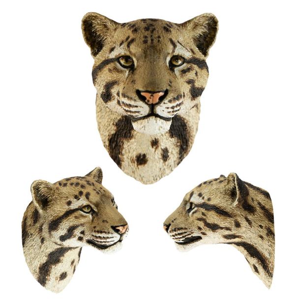 【預定】動物星雲 世界動物大圖鑑第2彈 