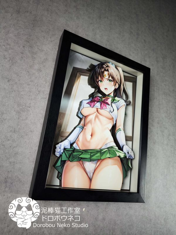 【海外代購】泥棒貓 DSMG-027 美少女戰士 木野真琴 可月兌立體畫 