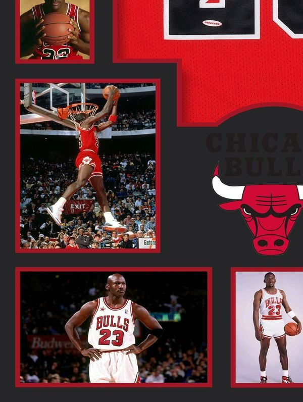 【海外代購】巴洛克 邁克爾喬丹公牛隊NBA Air Jordan藝術裝飾畫 