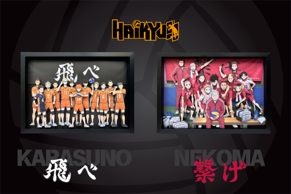 【海外代購】凹凸 垃圾場決戰 烏野VS音駒 3D立體畫01 