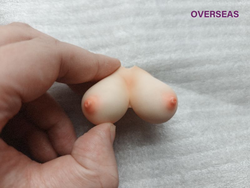 【預定】c+ 小惡魔第一彈 強勢發育的小雅 