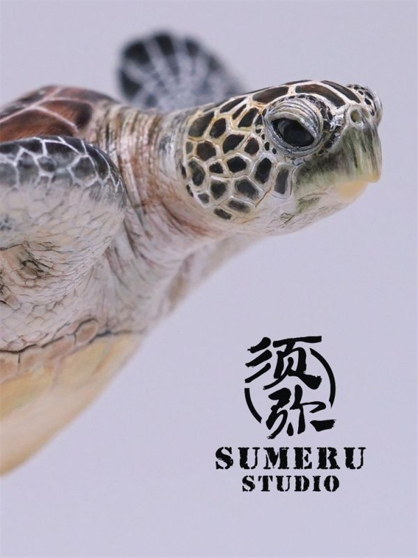 【預定】須彌 海洋系列 綠海龜 