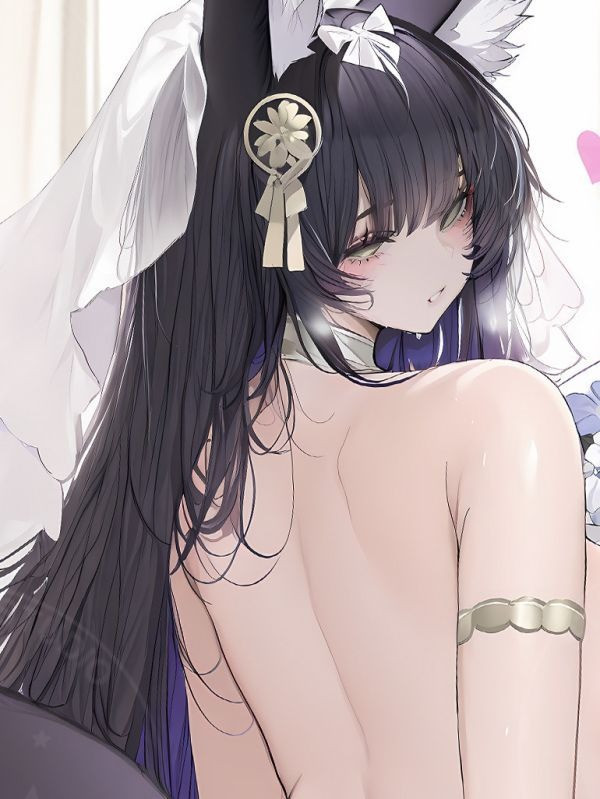 【海外代購】星空 《鮮花武藏》碧藍航線Musashi遊戲動漫裝飾畫 