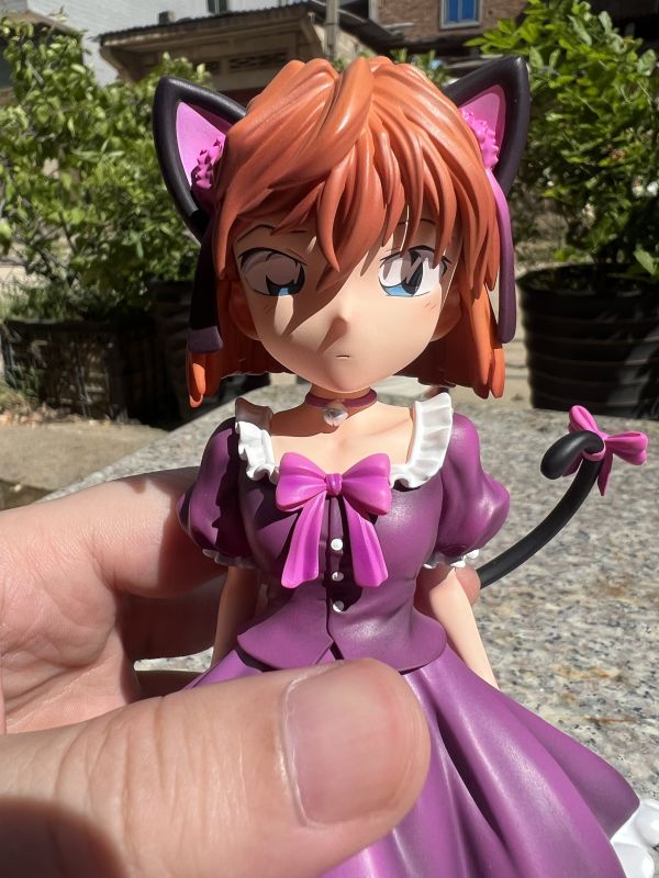 『海外代購』YYDS 貓耳朵灰原哀 