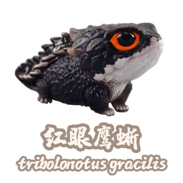【海外代購】【7.4-10.4CM】博物誌 蜥蜴王國第2彈強襲來襲 