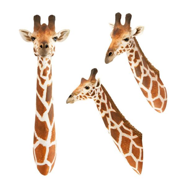 【預定】動物星雲 世界動物大圖鑑第2彈 