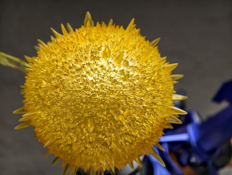 【預定】殭屍車 數碼寶貝04 無限地帶 獸型 雷之鬥士 雷光獸 