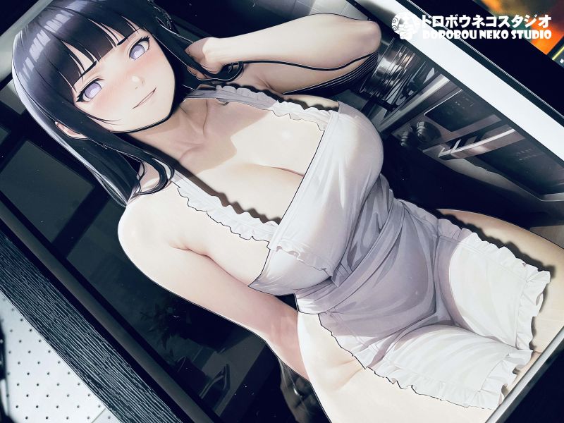 【海外代購】泥棒貓 DSMG-069 日向雛田 立體裝飾畫 