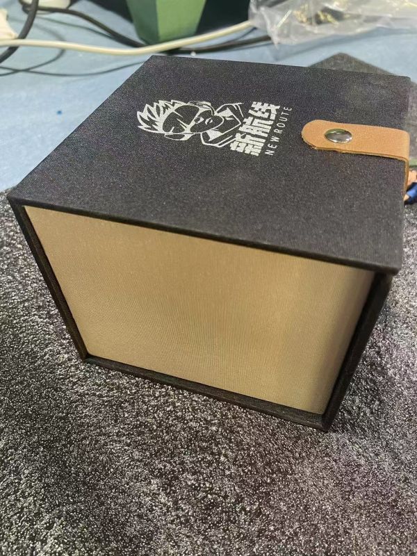 【海外代購】新航線 馴化小智 皮卡丘 