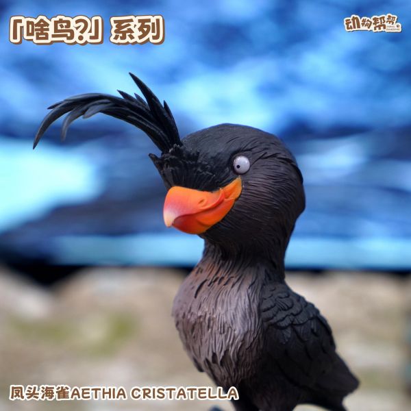 【海外代購】傑刻動漫 動物幫幫農場 啥鳥？ 系列第八彈 鳳頭海雀 