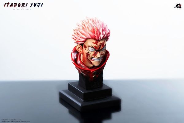 【海外代購】極之番 咒術第二彈 虎杖 粉髮打拳男 