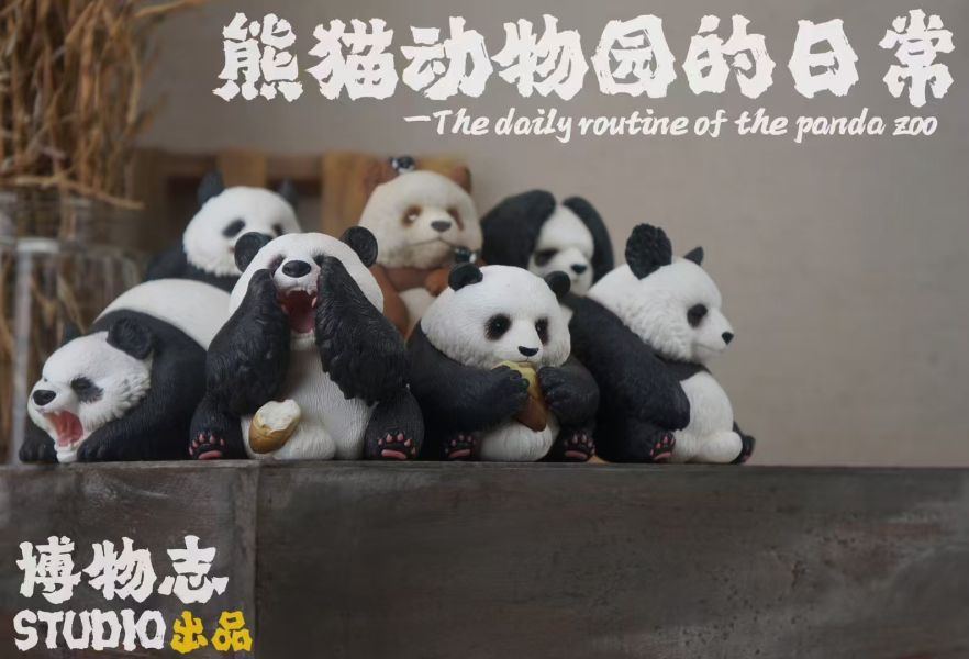 【預定】博志物 2025熊動貓物園的日常 