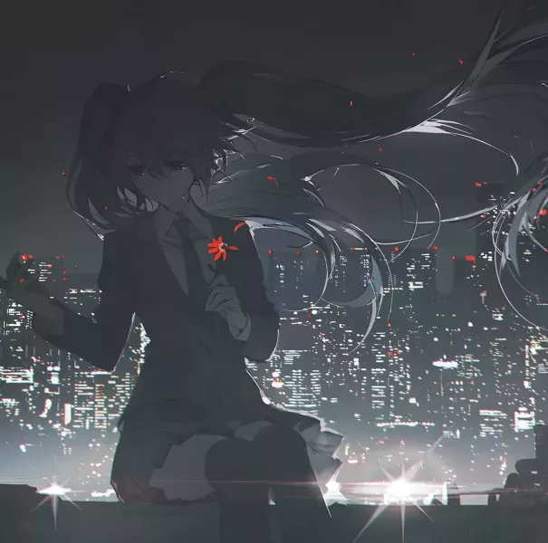 【海外代購】H2 《初音落淚》miku大蔥公主殿下動漫二次元裝飾畫 
