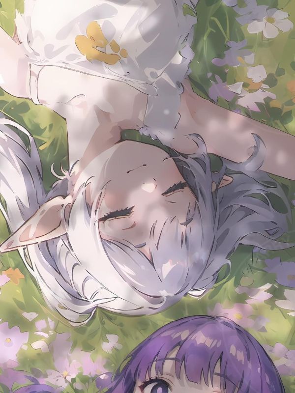 【海外代購】星空 《草坪芙莉蓮菲倫》辛美爾葬送的芙莉蓮Frieren動漫藝術版畫裝飾畫 
