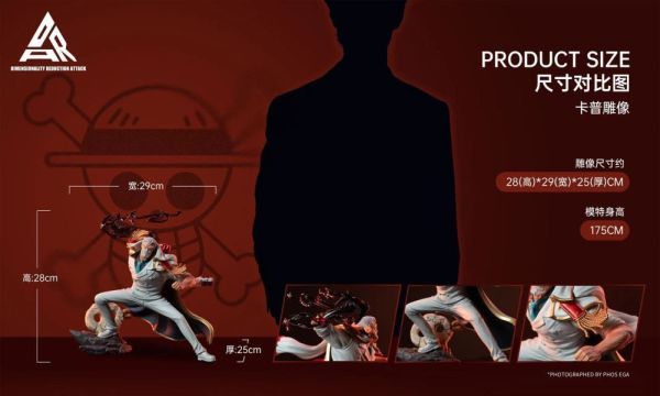 『已截單-請洽客服報價代購』DRA pop共鳴 海軍英雄 鐵拳 卡普 