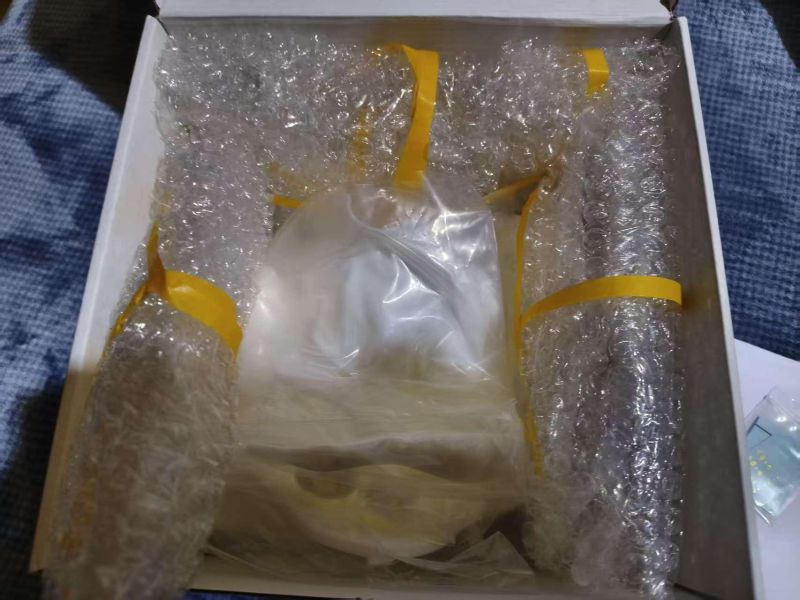 【預定】XG 明日方舟 夕 畫中人 gk完成品 