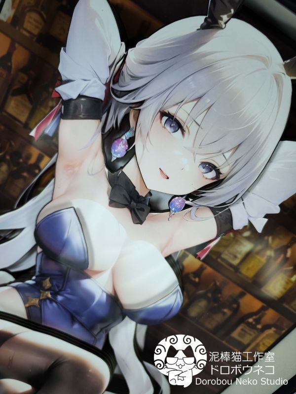 【海外代購】【46CM】泥棒貓工作室 DSMG-016 崩壞 星穹鐵道 布洛尼亞 可月兌立體畫 