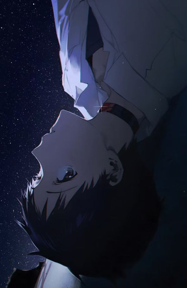 【海外代購】H2  《碇真嗣渚薰》新世紀福音戰士裝飾畫 