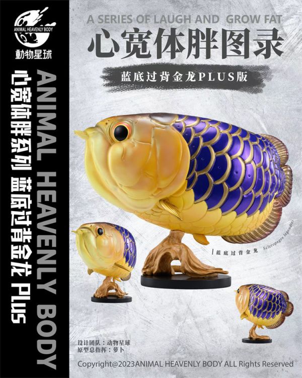 【海外代購】動物星球 藍底過背金龍 plus版 