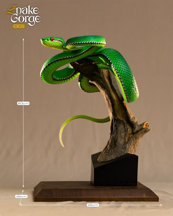 【海外代購】snakeGorae 海島竹葉青蛇 岡氏竹葉青蛇 