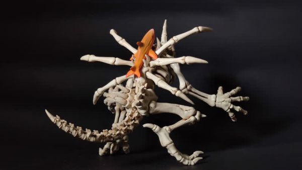 【海外代購】路過的蝸牛 數碼寶貝 殭屍暴龍獸 