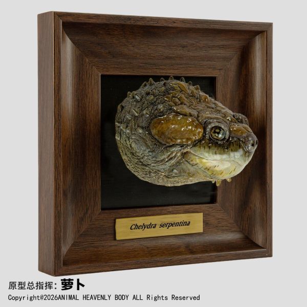 【預定】動物星雲 《框爬藝術展》系列 第1彈 