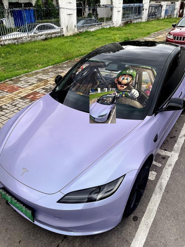 【海外代購】千鳥社 《汽車前擋遮陽-馬力歐、路易吉》 