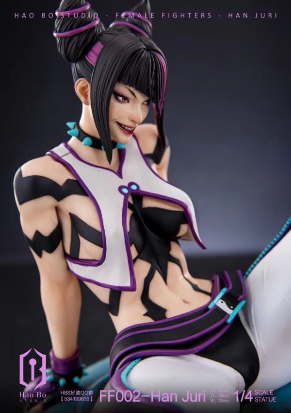 【已截單/代購洽客服】HBS好波工作室1/4雕像女格鬥家系列 FF002-Han Juri 
