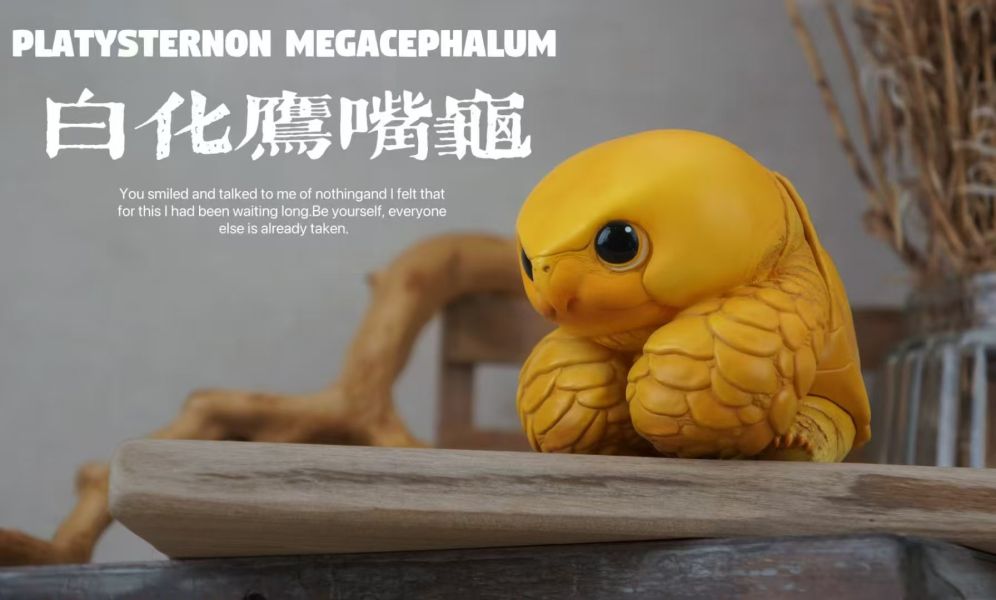 【海外代購】博物志 2024噸動噸物園龜2 第2彈 鷹龜嘴和豬鼻龜 