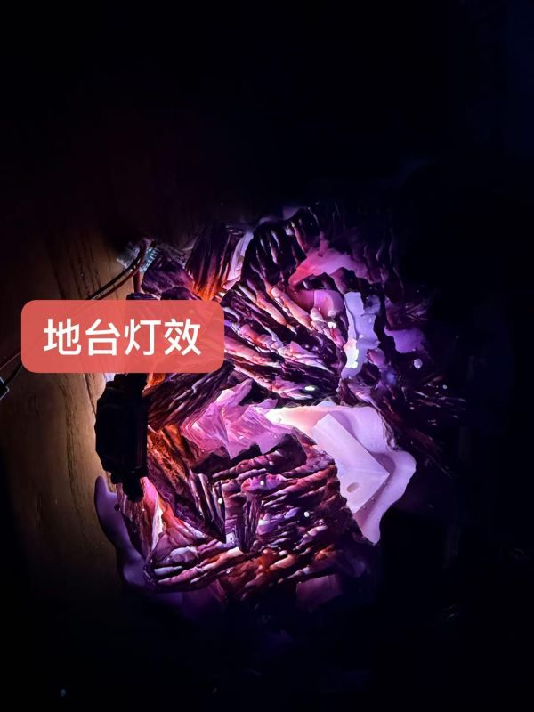 【預定】重甲犀牛 雲雀恭彌 