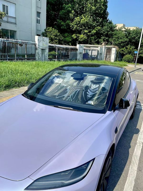 【海外代購】千鳥社 《汽車前擋遮陽—琴酒》 名偵探柯南黑衣組織琴酒二次元汽車遮陽防曬 