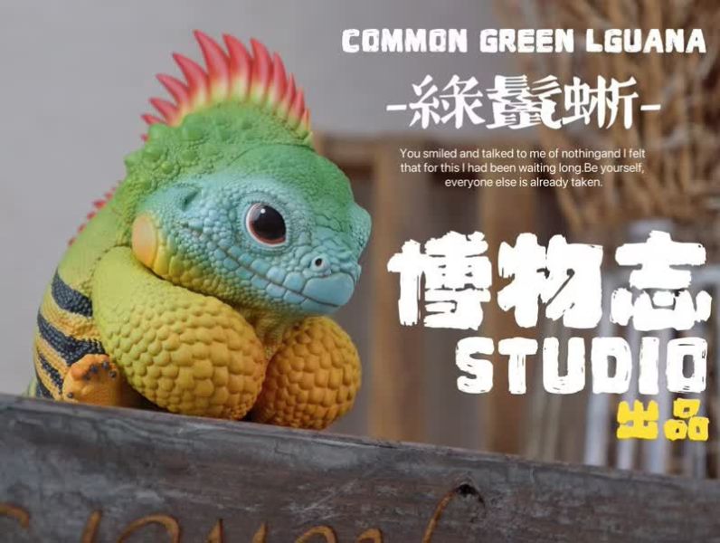 【預定】博物誌 噸噸蜥 綠鬣蜥 