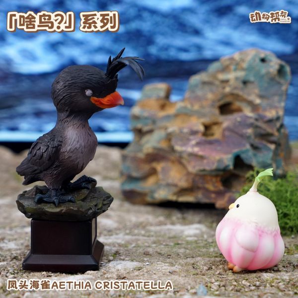 【海外代購】傑刻動漫 動物幫幫農場 啥鳥？ 系列第八彈 鳳頭海雀 
