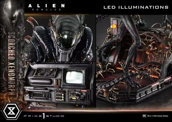【預定】正版授權 Prime 1 P1S 1/3 異形 奪命艦 焦灼異形 標準版 MMXLAL-02 