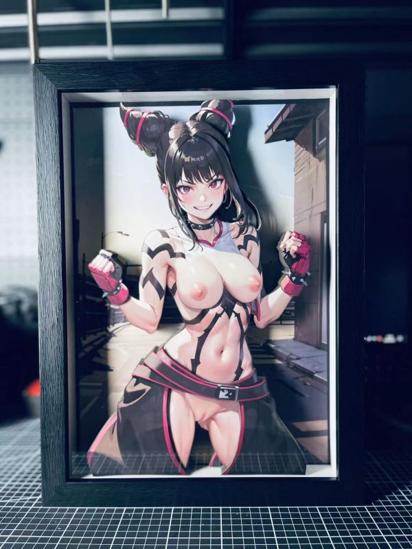 【海外代購】泥棒貓 DSMG-070 街頭霸王 韓蛛俐 立體裝飾畫 