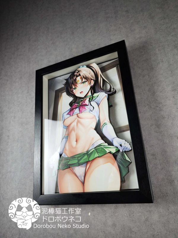 【海外代購】泥棒貓 DSMG-027 美少女戰士 木野真琴 可月兌立體畫 
