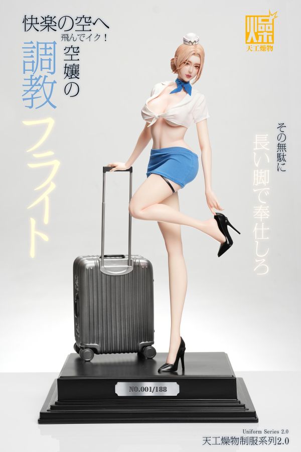 【預定】天工燥物 2.0系列 《空服員2.0》 