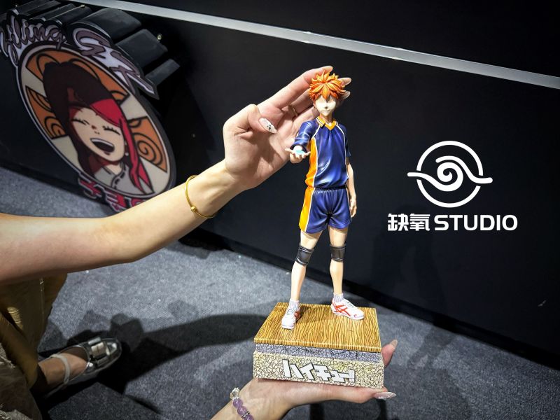 【預定】缺氧 運動篇 排球少年第一彈 日向翔陽 