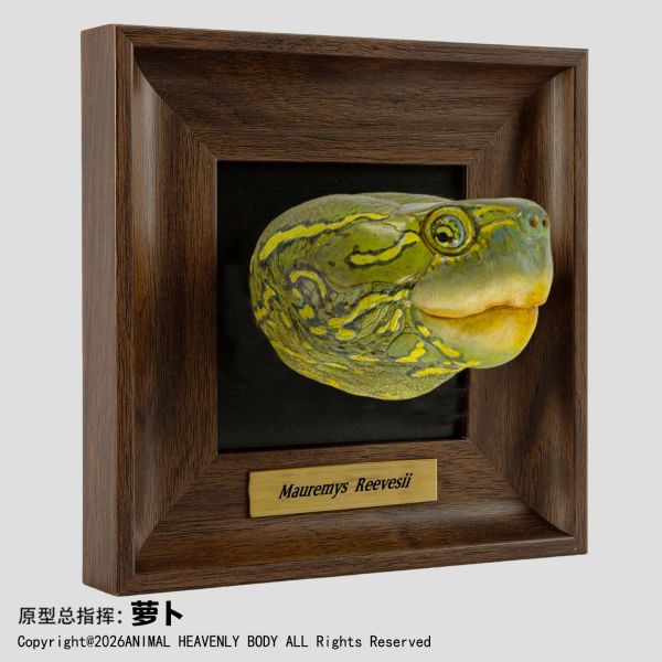【預定】動物星雲 《框爬藝術展》系列 第1彈 