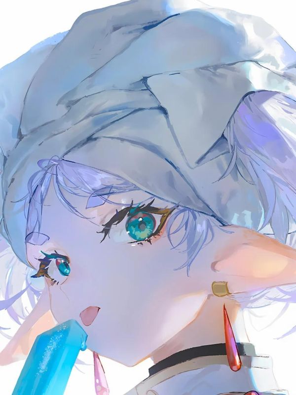 【海外代購】星空 《芙莉蓮日常》葬送的芙莉蓮裝飾畫 