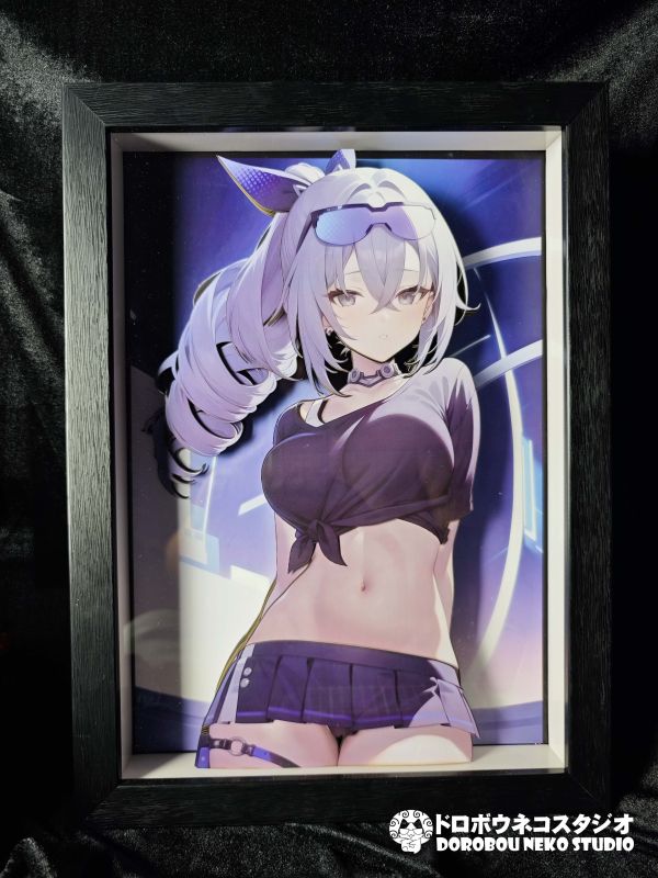 【海外代購】泥棒貓 DSRL-025 銀狼 立體裝飾畫 