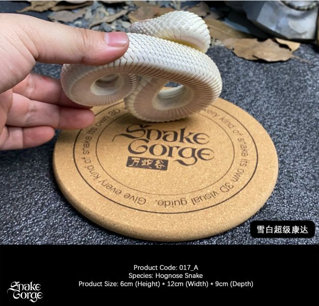 【預定】萬蛇谷 snakegorge 017 豬鼻蛇 