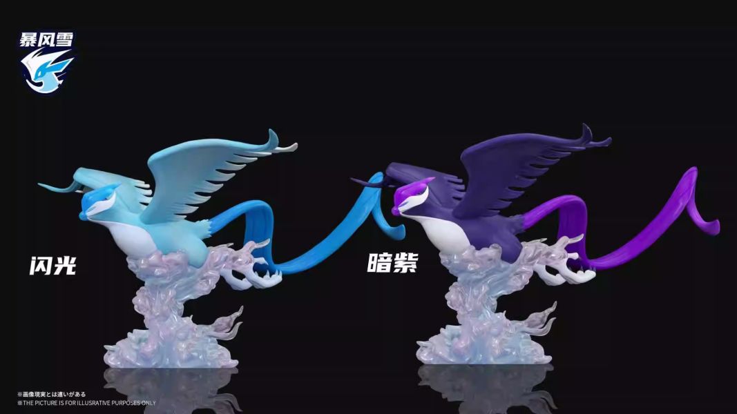 【預定】暴風雪 伽勒爾地區三聖鳥 