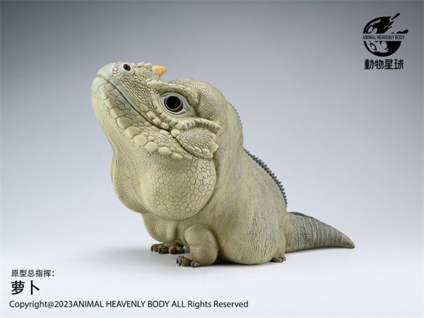【海外代購】動物星球 犀牛鬣蜥PLUS版 